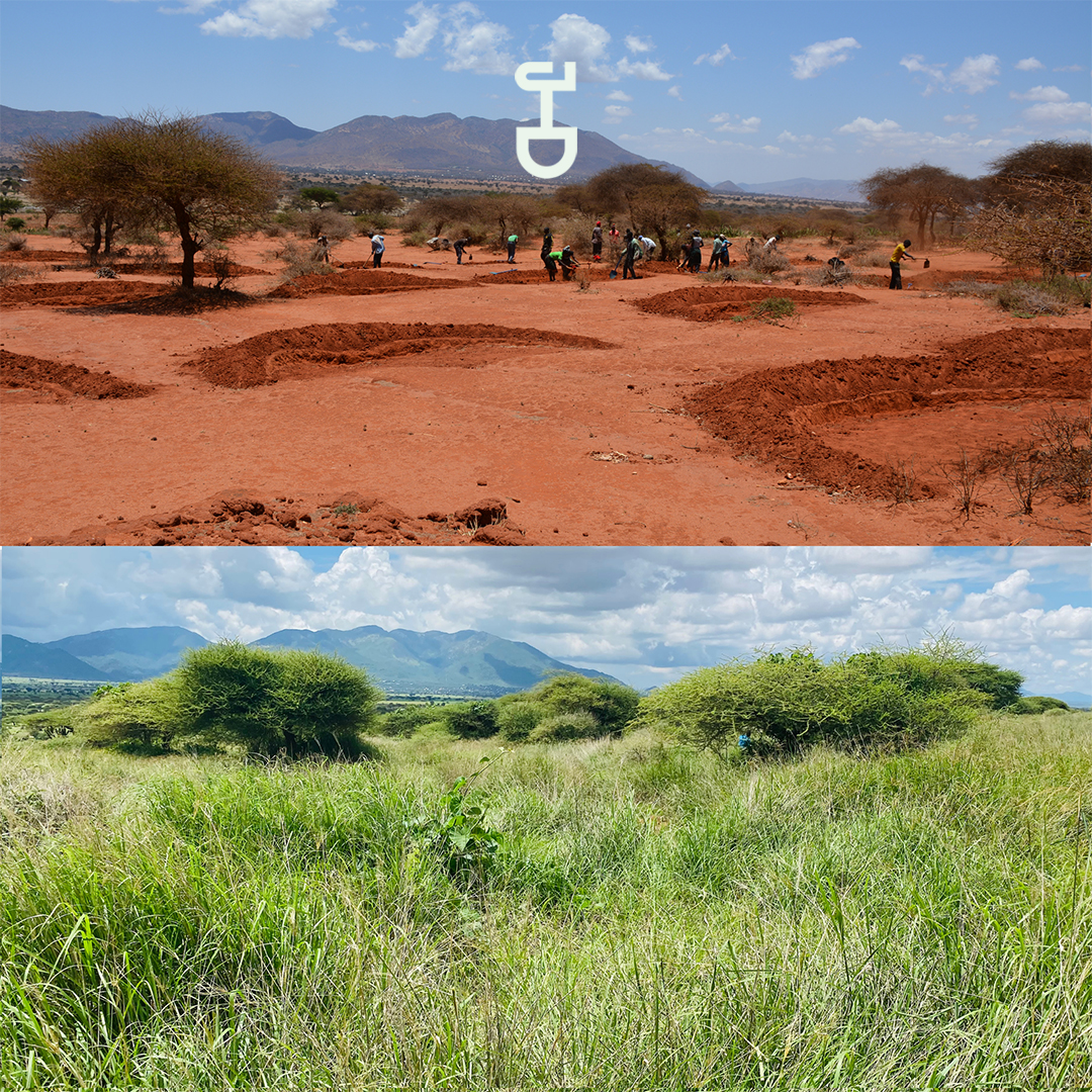 Ocean Network Express Donates to Charity Justdiggit on World Water Day